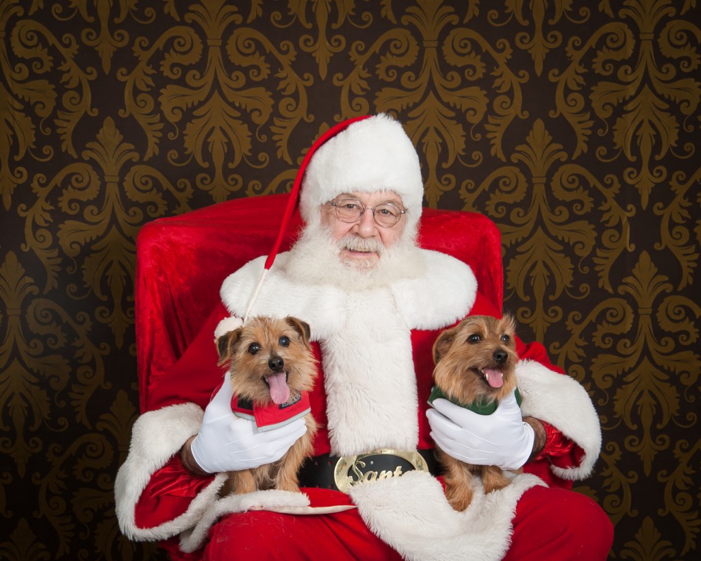 Judy Carbauh's Cooper and Toula visited with Santa in December 2012.